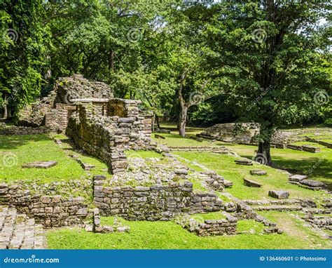 La Ribellione di Yaxchilán nel II secolo d.C.: Una Sfida al Potere Maya e le Sue Conseguenze Indimenticabili